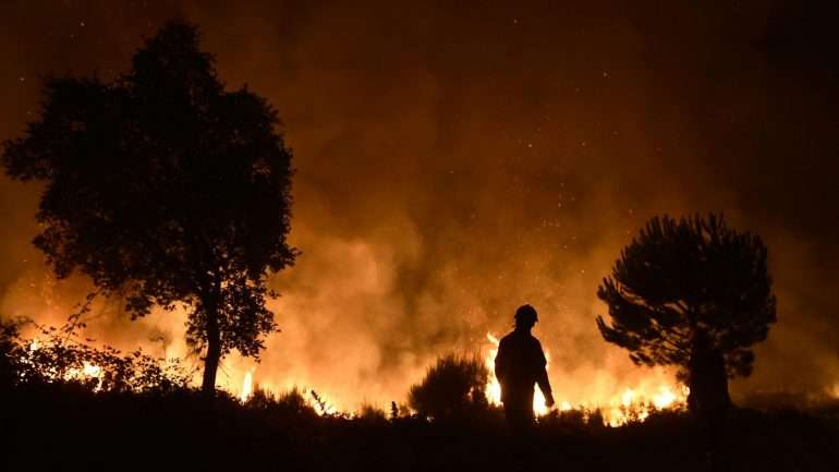 Só em Arouca, entre 7 e 17 de agosto de 2016 arderam 15.500 hectares de floresta