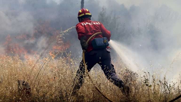 ANBP lamentou a ausência de protocolos que regulem a atuação dos bombeiros sapadores profissionais no combate aos fogos