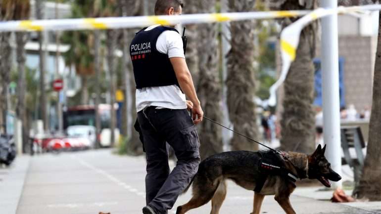 O corpo foi encontrado e identificado por mergulhadores da polícia local perto do sítio onde Gracey foi visto pela última vez