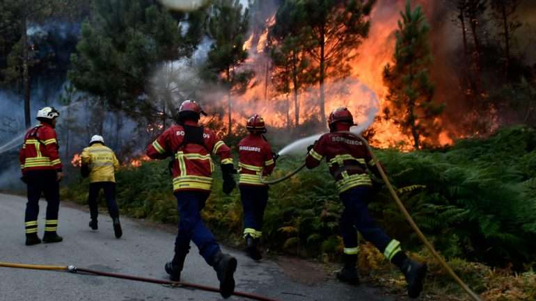 O fogo em Santarém começou às 19h22 de quarta-feira, e a única frente ativa era combatida por 66 operacionais, com o apoio de 19 meios terrestres