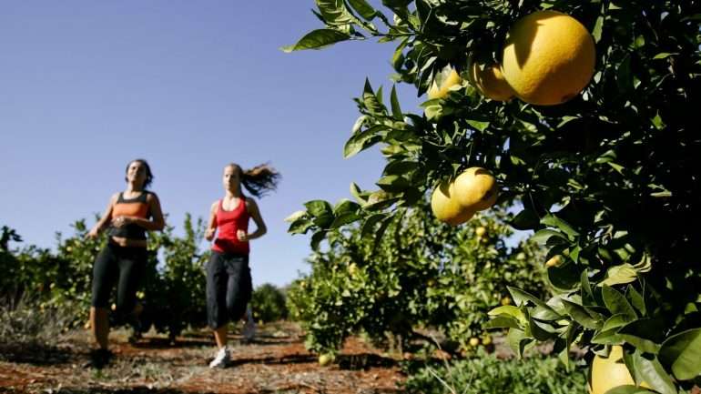 Mais de dois terços dos portugueses pratica pouco ou nenhum exercício