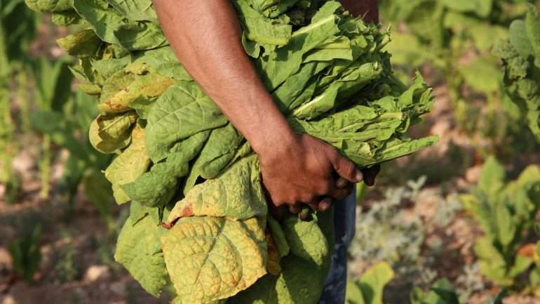 Moçambique desceu três lugares no 'ranking' mundial de competitividade