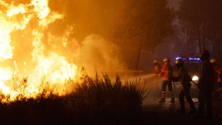 Os piores anos de sempre em área ardida foram 2003 e 2005