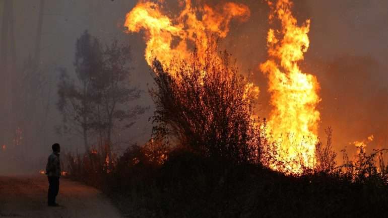 O incêndio do Sabugal já entrou em fase de resolução