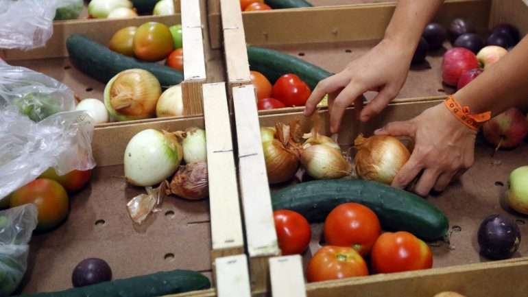 O setor hortofrutícola teme vir a ter elevados prejuízos