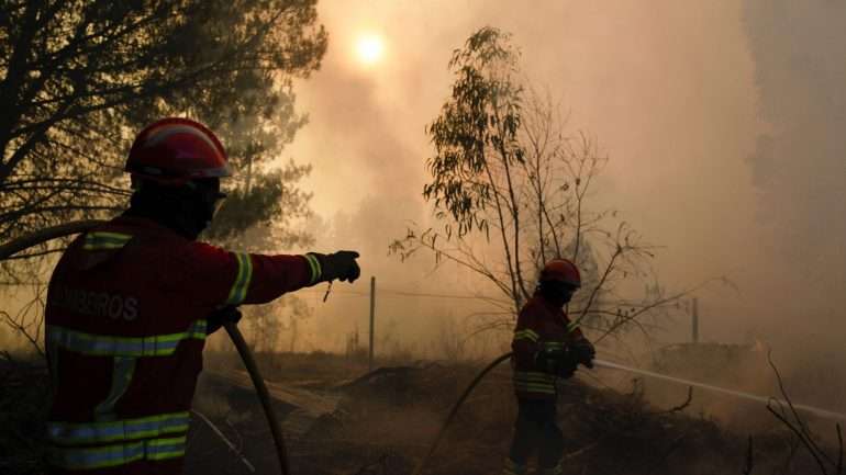 Proteção civil diz que operacionais estão a combater um incêndio em zona de pasto e montado em Portalegre