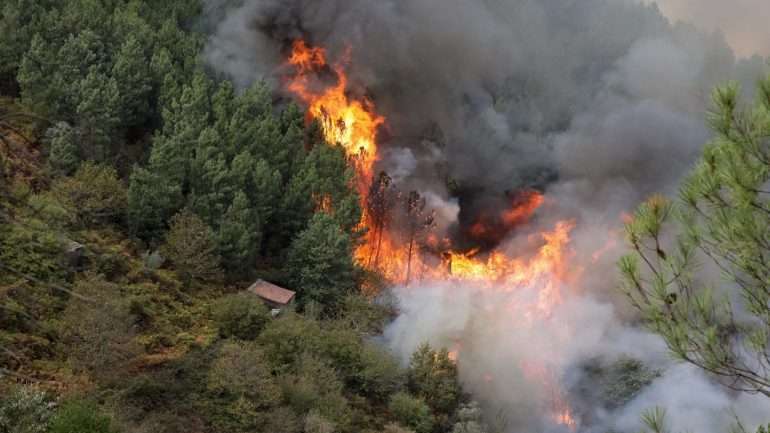 Os incêndios deste domingo fizeram 43 mortos e 70 feridos
