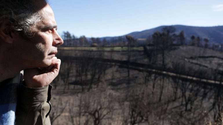 Os incêndios destruíram 80% da floresta do concelho de Pampilhosa da Serra.