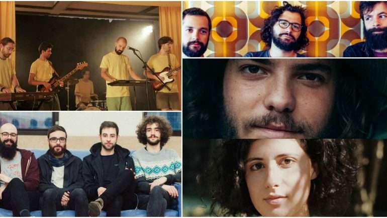Planeta Tundra, quartoquarto, Jerónimo, Caio e Mathilda são os finalistas deste ano