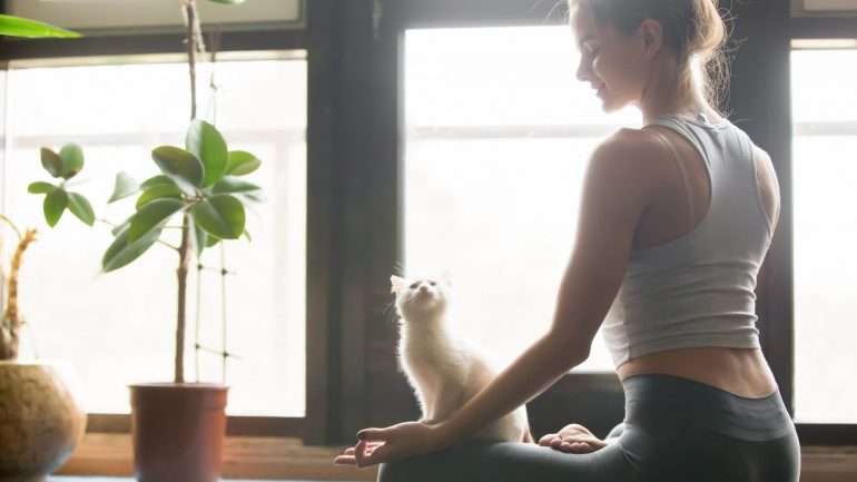 Porque viver em piloto automático não é forma de estar, leia algumas dicas para aplicar o "mindfulness" no dia a dia