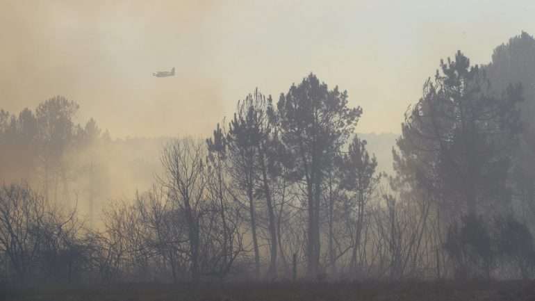 Um total de 226 militares estão no terreno desde este sábado e até ao dia 25 para apoiar a Proteção Civil