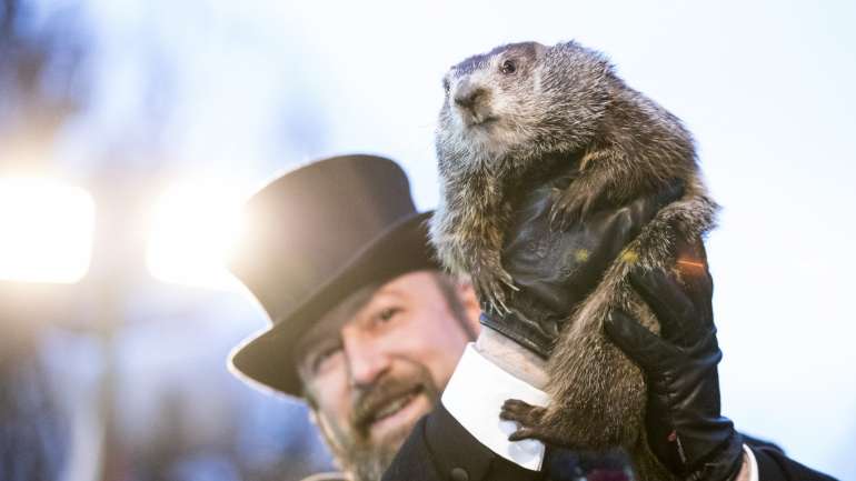 Milhares de pessoas assistiram, no sábado, à cerimónia do Dia da Marmota, na Pensilvânia, EUA