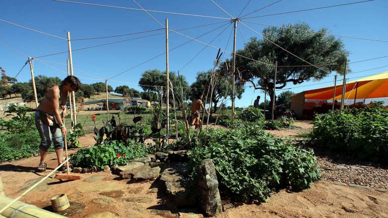 Na última edição do festival, 40% de todo o lixo produzido foi reciclado ou utilizado para produção de composto orgânico