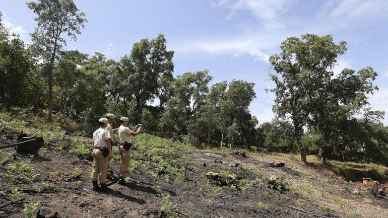 A Linha SOS Ambiente e Território da GNR está disponível 24 horas por dia através do número 808 200 520 ou da página na internet http://www.gnr.pt/ambiente.aspx