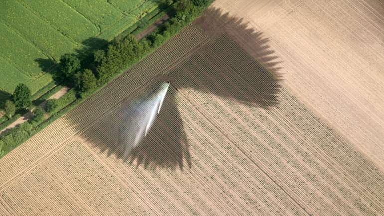 O glifosato é o herbicida mais usado na agricultura e em contexto urbano