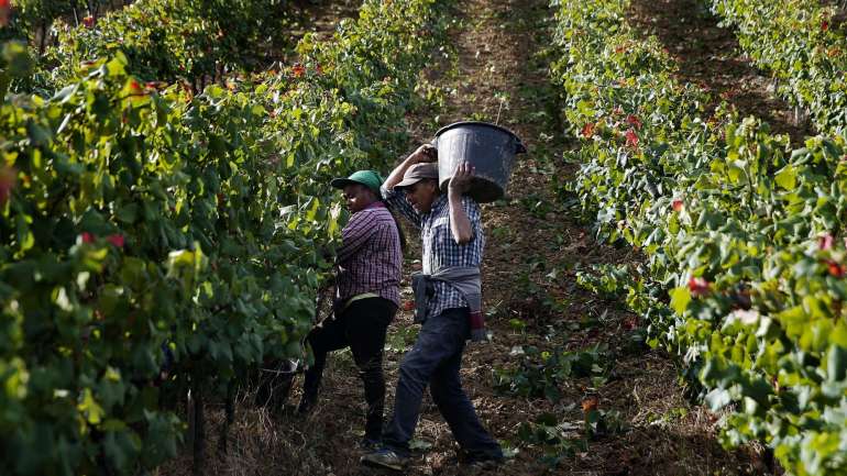 Os pedidos de reunião pretendem "expor a gravidade da situação que o setor agrícola e agroalimentar enfrenta e pedir a intervenção do Estado na defesa da sua capacidade produtiva e competitividade externa" avisa  Confagri