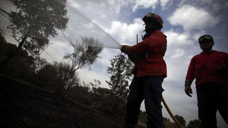 Segundo o IPMA, o concelho de São Brás de Alportel, no distrito de Faro, apresenta esta terça-feira um risco máximo de incêndio e outros 22 estão em risco muito elevado