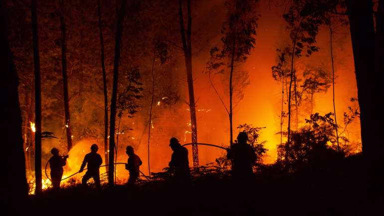 O ICNF aponta ainda para o facto de o plano não ter em conta a área ardida em junho de 2017 e indica uma falta de referência às condições meteorológicas associadas aos grandes incêndios