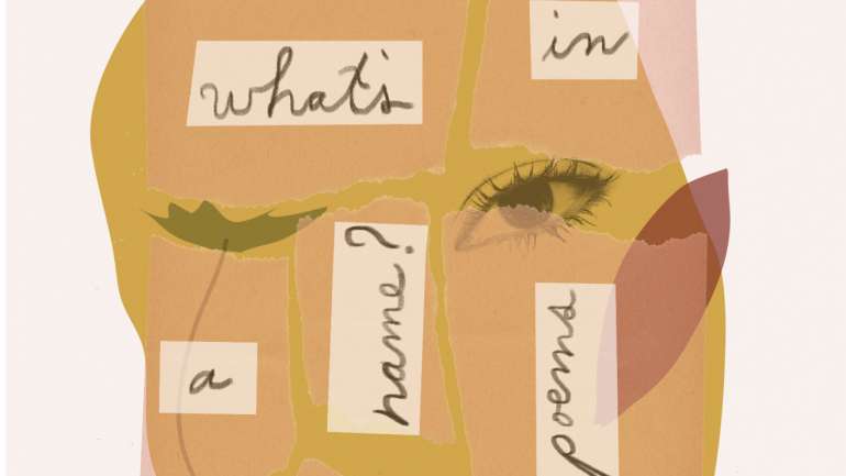 Este é o primeiro livro de Ana Luísa Amaral a ser publicado pela editora New Directions