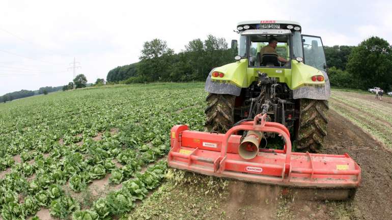 A informação foi disponibilizada na página da internet do Instituto de Financiamento da Agricultura e Pescas