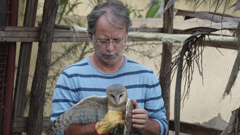 Mia Couto, na sua quinta a sul de Maputo com as corujas que salvou e depois adoptou