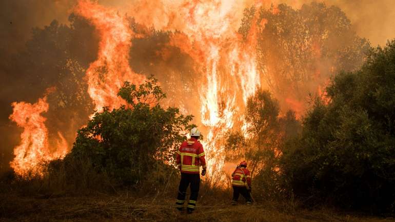 Um relatório da plataforma de metereologia destaca o caso português. As temperaturas podem ultrapassar registo de 2018