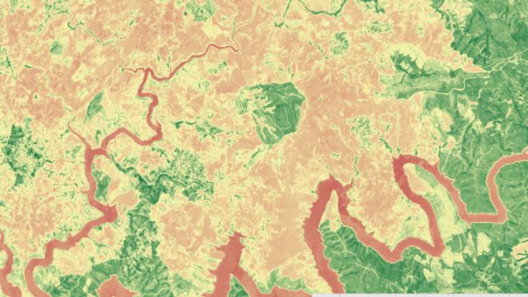 Em Portugal, uma das áreas que a Tesselo pretende ajudar a prevenir são os incêndios florestais, como o que deflagrou em 2017 em Pedrógão Grande