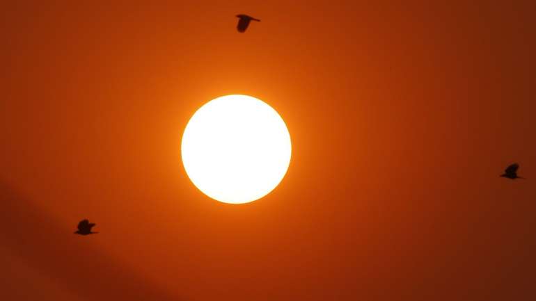 O índice ultravioleta varia entre 1 e 11, sendo 1 risco baixo e 11 risco extremo