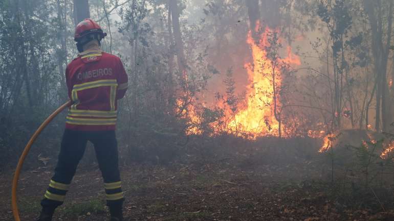 O alerta para o incêndio foi dado as 15h32
