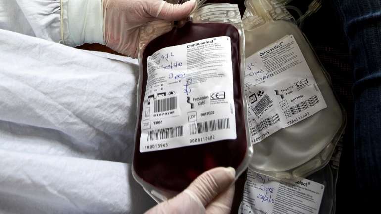 Portugal necessita de cerca de 1.100 unidades de sangue por dia para responder às necessidades dos hospitais