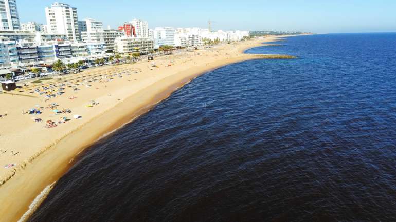 Tomar banho não representa qualquer perigo, mas os bivalves não se podem comer, avisa Alexandra Teodósio