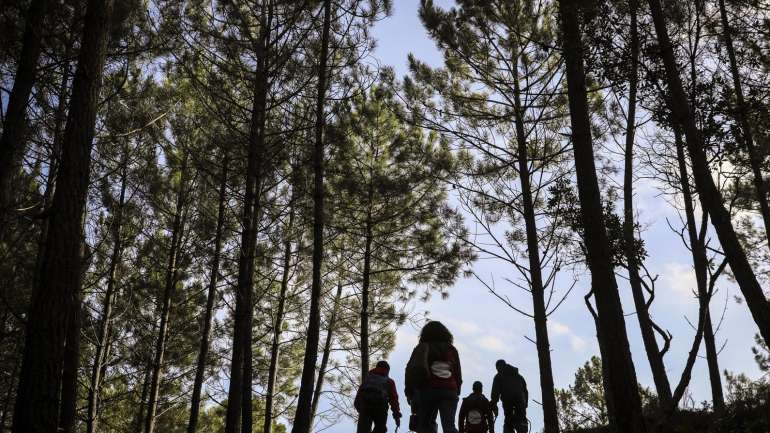 Na lista de animais vulneráveis à seca e temperaturas extremas estão cerca de 550 espécies