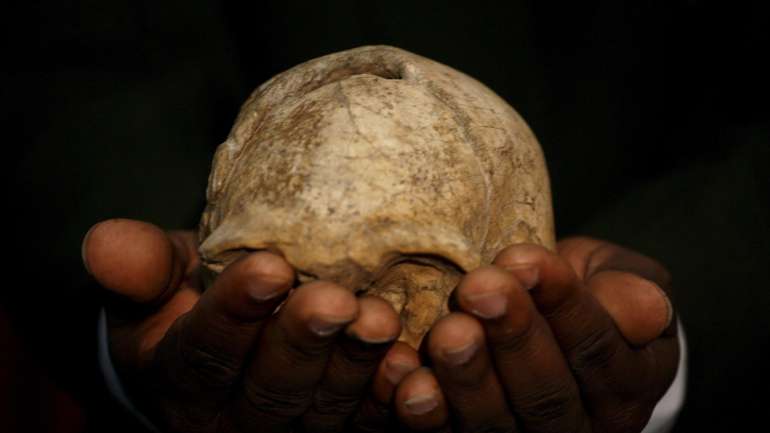 Estes dados suportam a teoria de que os humanos modernos se dispersaram mais cedo do que se calculava para fora de África