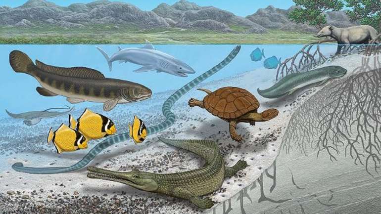 O estudo explica que o território tinha um leito marítimo com bastante fauna e muitos animais hoje extintos