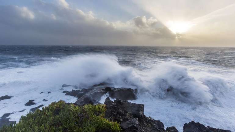O reconhecimento foi anunciado esta terça-feira, na Horta, ilha do Faial