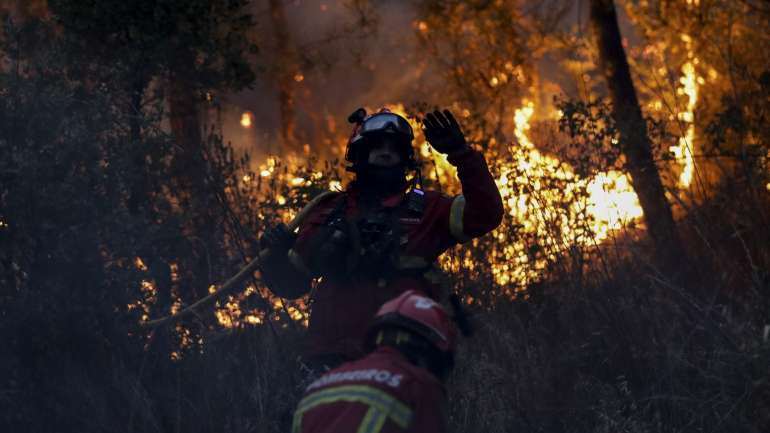 "É o massacre das populações do minifúndio do Pinhal Interior que está a promover, cada vez mais, uma desertificação e uma falta de qualidade na gestão destes territórios", apontou