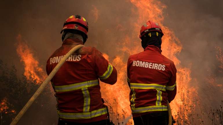 Estão a combater as chamas 259 bombeiros, apoiados por 75 veículos