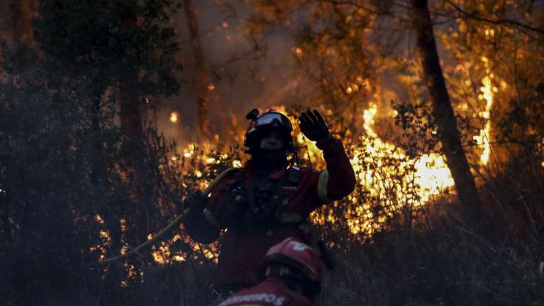 A zona afetada pelos fogos caracteriza-se por ser uma região "de pequena e muito pequena agricultura"