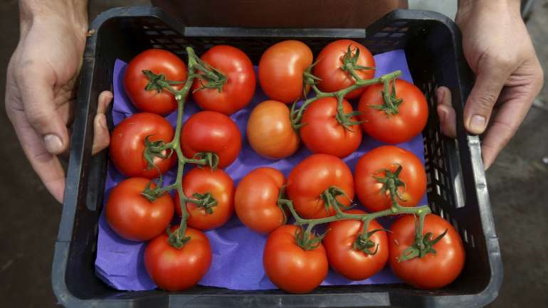 A Associação dos Industriais de Tomate exprimiu, por escrito, estas preocupações ao executivo, estando já agendada uma reunião com o ministro da Agricultura