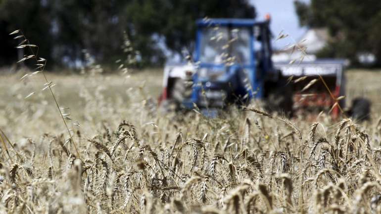 O debate "A Agricultura e as Legislativas de 2019" foi organizado pela Confederação dos Agricultores de Portugal