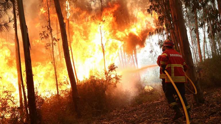 Incêndio provocou "a destruição de cerca de 40 hectares de sobreiros, azinheiras, eucaliptos e mato", informou a GNR