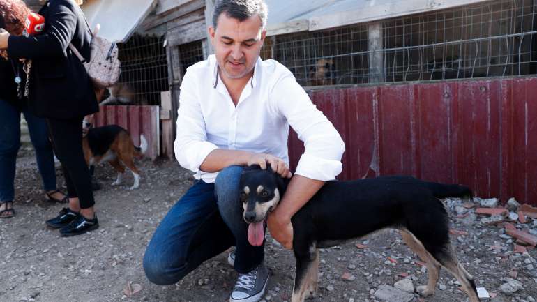 Durante a tarde, André Silva tinha visitado o canil da Associação dos Amigos dos Animais de Almada — mas para os outros partidos, à noite, não foi tão meigo
