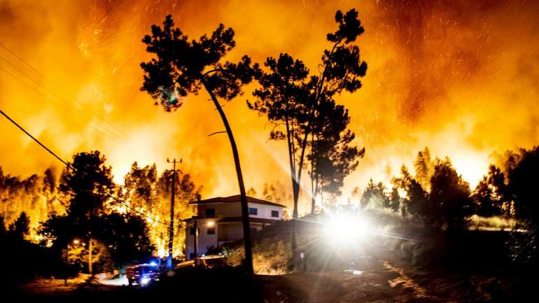 A juíza do processo afirmou esta segunda-feira ser "impossível" provar que a idosa tenha efetuado a queimada que contribuiu para os incêndios no Pinhal de Leiria