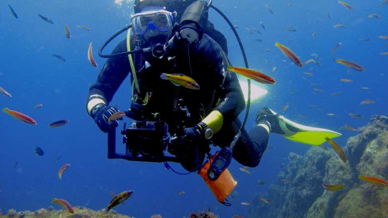 O fundo privado para a conservação da biodiversidade marinha premiou projetos de conservação sobre invertebrados marinhos