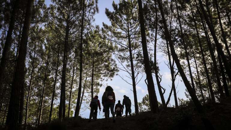 O ministro do Ambiente esclareceu que ser neutro em carbono não significa emissões zero, mas implica reduzir em muito as emissões