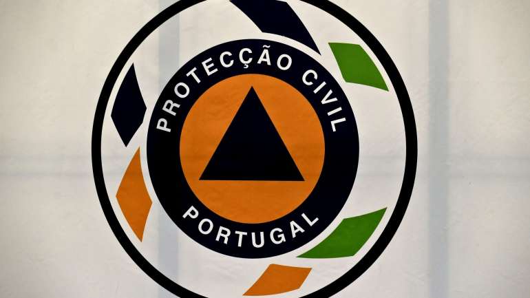 As 28 viaturas ligeiras, 22 da marca Peugeot e seis da Opel, Astra e ainda SEAT, estariam ao serviço da Proteção Civil desde o verão de 2014