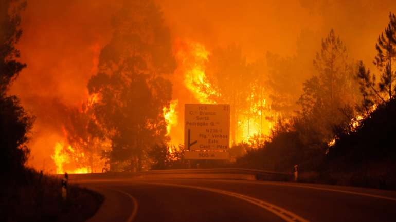 "O nosso ensinamento e experiências, boas e más, como reagimos aos incêndios são para eles [australianos] pistas para que caminhem naquilo que nós fizemos bem e evitar aquilo que não fizemos tão bem", frisou o presidente da Agência para a Gestão Integrada dos Fogos Rurais