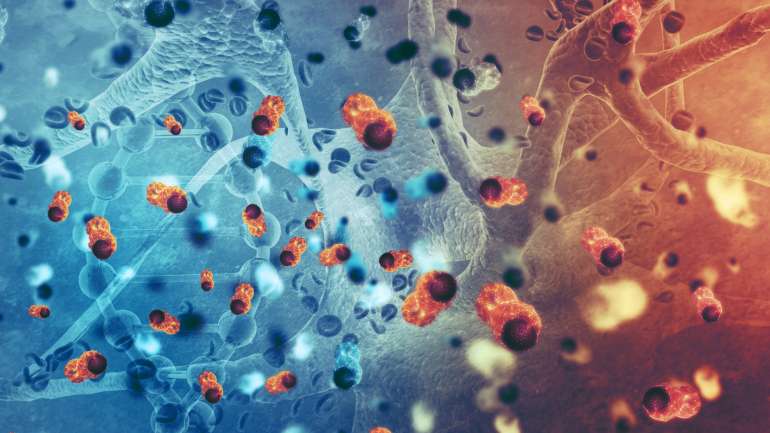 Se os resultados obtidos em animais de laboratório continuarem a ser positivos, a equipa espera poder experimentar o tratamento em humanos no final deste ano