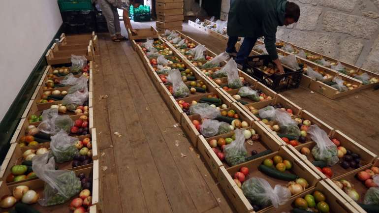 "Gente bonita come fruta feia" é o lema do projeto