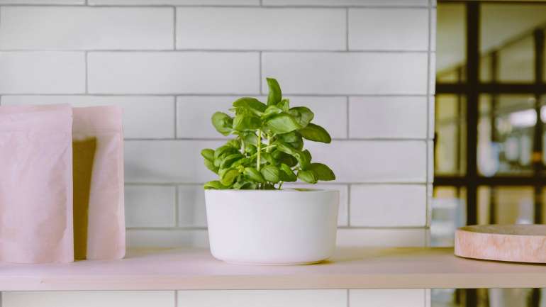 O vaso Easy Flora é português, chegou ao mercado em dezembro e é totalmente feito em cerâmica